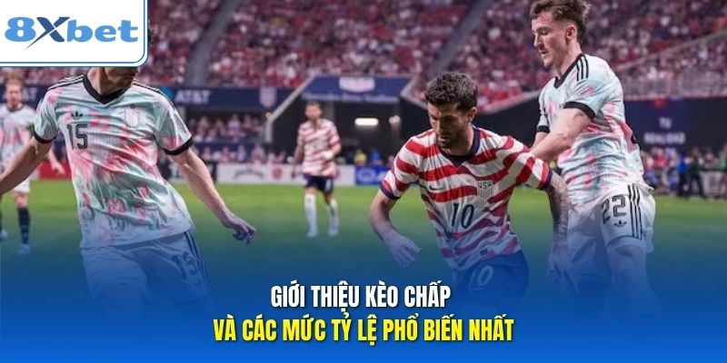 Giới thiệu kèo chấp và các mức tỷ lệ phổ biến nhất Giới thiệu kèo chấp và các mức tỷ lệ phổ biến nhất