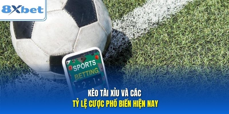 Kèo tài xỉu và các tỷ lệ cược phổ biến hiện nay Kèo tài xỉu và các tỷ lệ cược phổ biến hiện nay